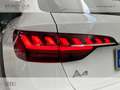 Audi A4 allroad allroad 40 2.0 tdi business evolution quattro 190c Biały - thumbnail 12