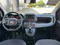 Fiat Panda MY24 1.0 Klima PDC Radio Schwarz - thumbnail 9