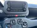 Fiat Panda MY24 1.0 Klima PDC Radio Schwarz - thumbnail 15
