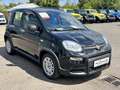 Fiat Panda MY24 1.0 Klima PDC Radio Schwarz - thumbnail 2