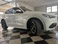 Alfa Romeo Stelvio 2.2 T VELOCE Q4 210 CV Bianco - thumbnail 2