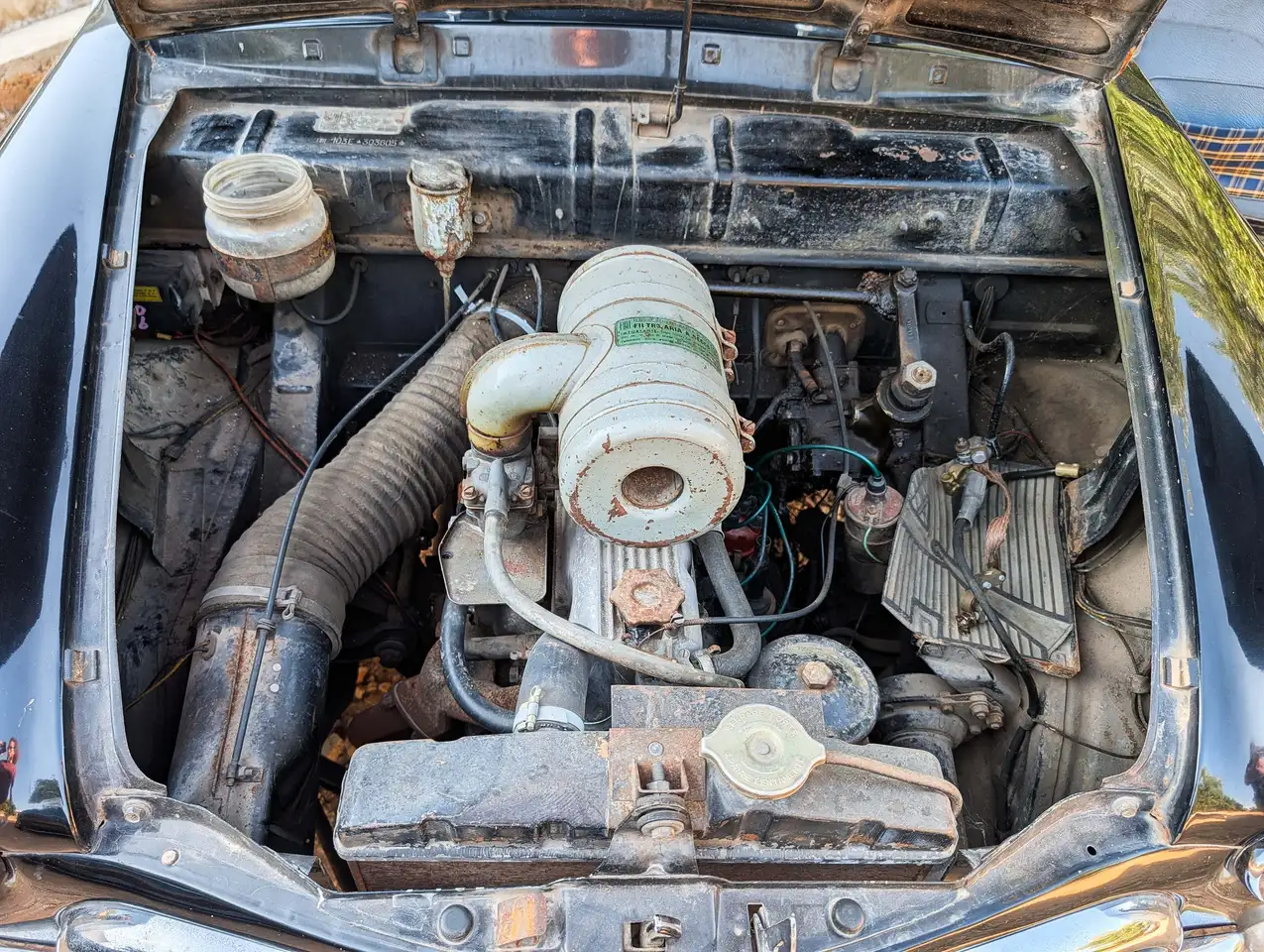 Fiat 1100 103, foto 12