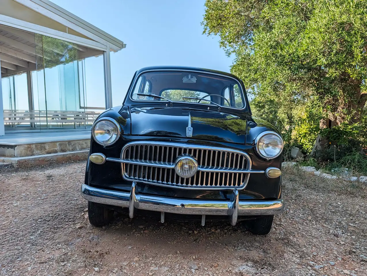 Fiat 1100 103, foto 2