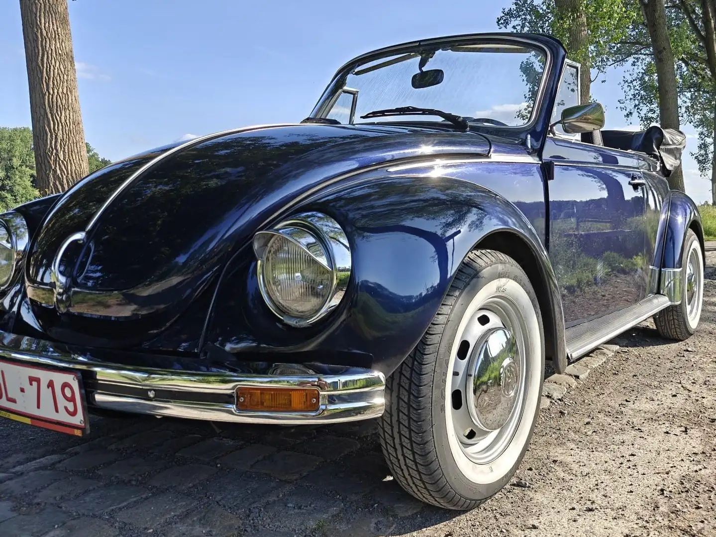 Volkswagen Kever Albastru - 2