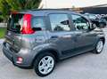 Fiat Panda LOUNGE **POSS.PACK MEDIA**VED.NOTE Grijs - thumbnail 2