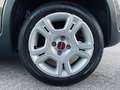 Fiat Panda LOUNGE **POSS.PACK MEDIA**VED.NOTE Grijs - thumbnail 7