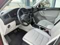 Volkswagen Tiguan 1.5 TSI Sport DSG 110kW Burdeos - thumbnail 11