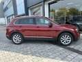 Volkswagen Tiguan 1.5 TSI Sport DSG 110kW Burdeos - thumbnail 8