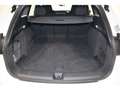 Audi Q6 e-tron quattro S-Line *Navi*Matrix*TopView * Alb - thumbnail 6