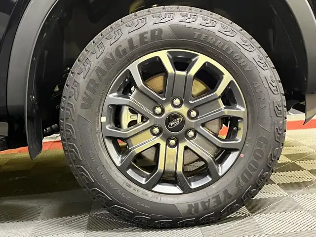 Ford Ranger view 11