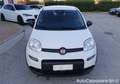 Fiat Panda 1.0 FireFly S&S Hybrid / GW531FW Bianco - thumbnail 3