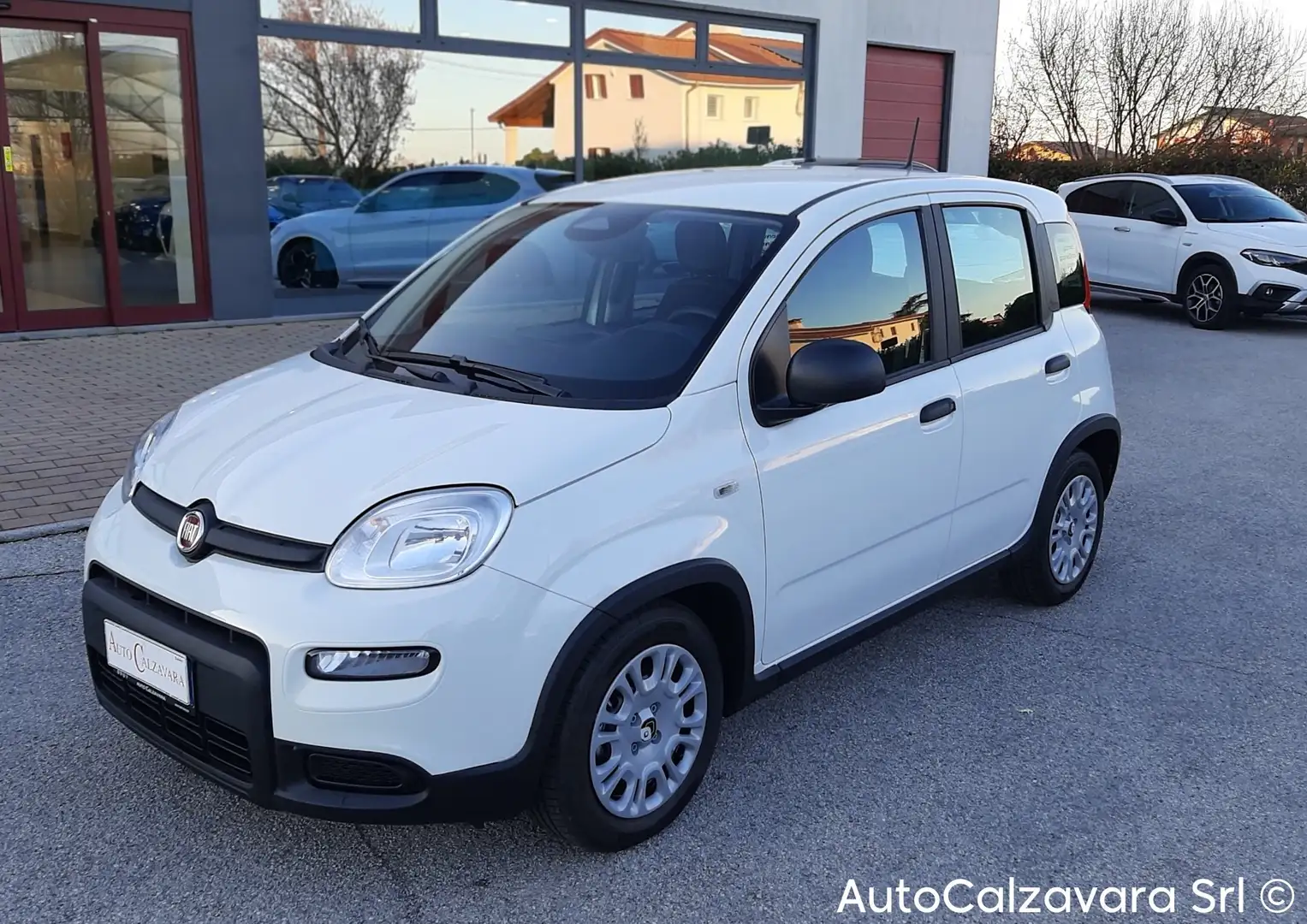 Fiat Panda 1.0 FireFly S&S Hybrid / GW531FW Bianco - 1