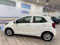 Kia Picanto 1.0 DPi Concept Bianco - thumbnail 22