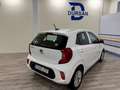 Kia Picanto 1.0 DPi Concept Bianco - thumbnail 5