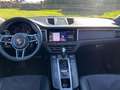 Porsche Macan MACAN 245CV TETTO Bianco - thumbnail 6