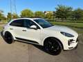 Porsche Macan MACAN 245CV TETTO Bianco - thumbnail 2