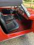 Alfa Romeo Spider Rouge - thumbnail 5