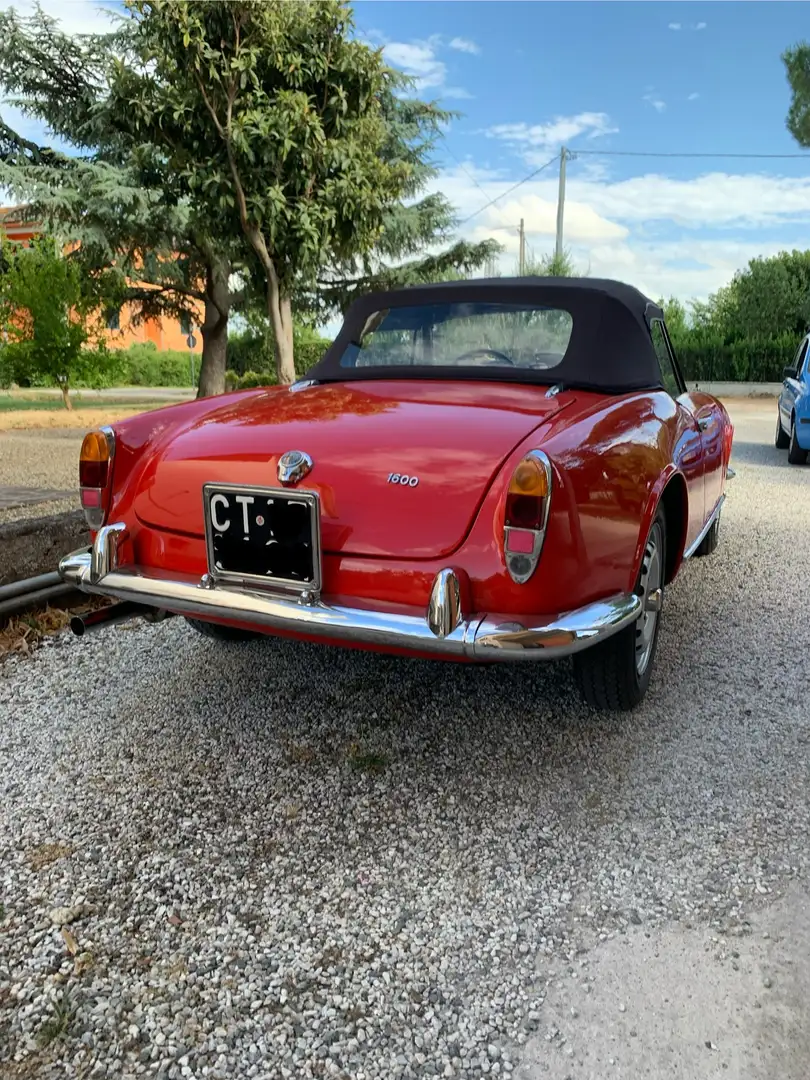 Alfa Romeo Spider Rouge - 1