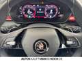 Skoda Fabia 1.0 TSI DSG MONTE CARLO SH LED KAM APP Klima Orange - thumbnail 19