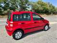 Fiat Panda 1.2 Dynamic 69cv GPL Rouge - thumbnail 5
