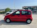 Fiat Panda 1.2 Dynamic 69cv GPL Rouge - thumbnail 9