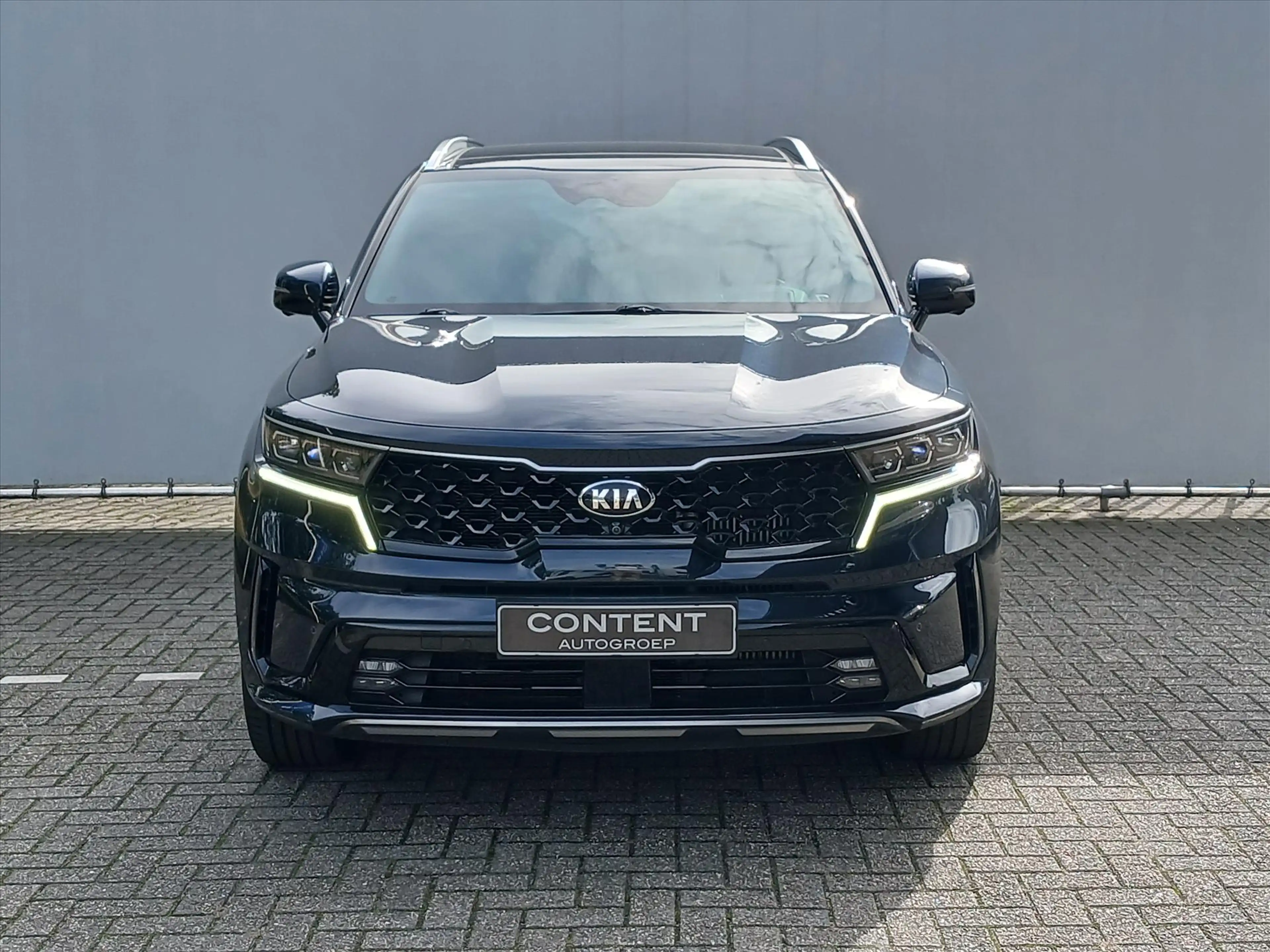 Kia Sorento 1.6 PHEV 4WD ExecutiveLine |Trekhaak |Schuifdak |L — photo 2
