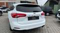 Ford Focus Turnier Titanium X%Vollleder#Motorschaden# Bianco - thumbnail 11