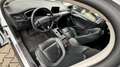 Ford Focus Turnier Titanium X%Vollleder#Motorschaden# Bianco - thumbnail 15
