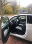 Fiat 500C 500 C 500 C 1.0 GSE N3 Hybrid Dolcevita Weiß - thumbnail 3