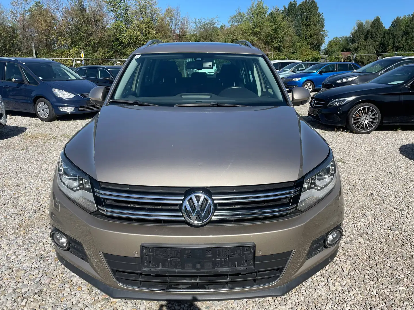 Volkswagen Tiguan Sport +pickerl 11/2026+4monat Gelb - 2