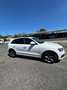 Audi Q5 Q5 2.0 TDI 150 CV clean diesel Bianco - thumbnail 5