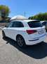 Audi Q5 Q5 2.0 TDI 150 CV clean diesel Bianco - thumbnail 3