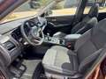 Nissan Qashqai 1.3 MHEV N-Connecta Pano dak Rood - thumbnail 9