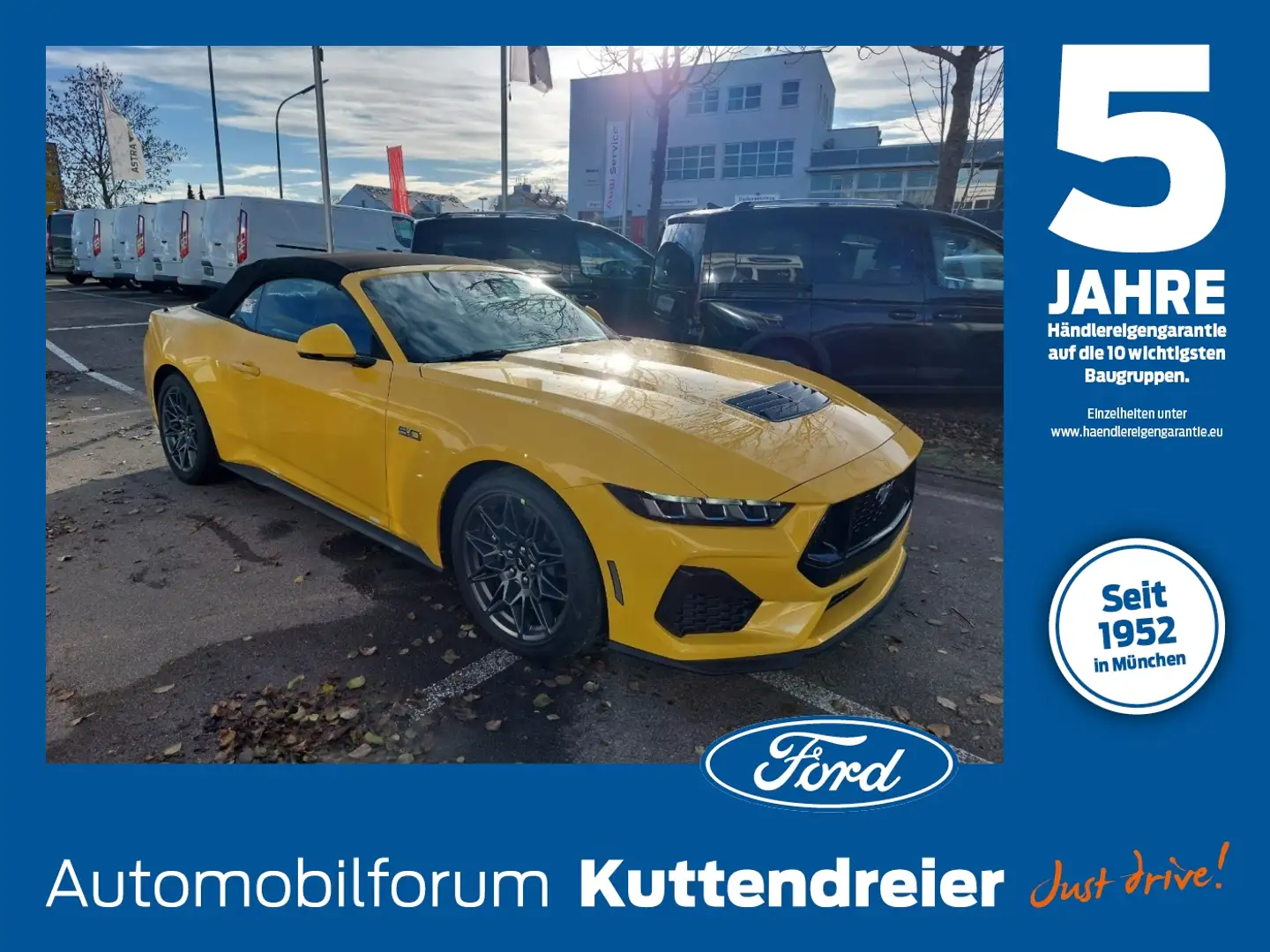 Ford Mustang Convertible GT 5.0 **NEUES MODELL** ACC Geel - 1