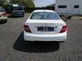 Mercedes-Benz C 250 C -Klasse Coupe C 250 CDI AMG-PAKET Weiß - thumbnail 7