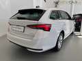 Skoda Octavia Combi Selection 1,5 TSI mHEV DSG **NEU** Weiß - thumbnail 3