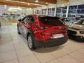 Mazda CX-30 1.8L Skyactiv-D 2WD Executive UNICO PROPRIETARIO Rot - thumbnail 5
