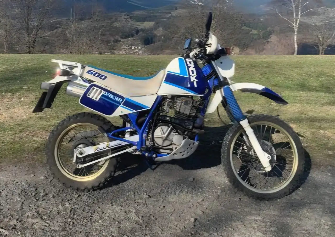 Suzuki DR 600