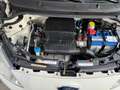 Ford Ka/Ka+ 1.2 Titanium X start/stop - Airco I Comfort pakket Blanc - thumbnail 38