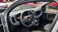 Fiat Panda Panda 1.2 Easy 69cv Grigio - thumbnail 6