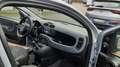 Fiat Panda Panda 1.2 Easy 69cv Grigio - thumbnail 4
