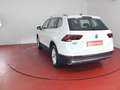 Volkswagen Tiguan Allspace Highline 1.5TSI DSG 332,-ohne Anzahlung AHK App-C Bianco - thumbnail 26