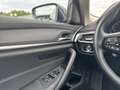 BMW 530 d xDrive Touring Ferngesteuertes Parken DAB Grau - thumbnail 18