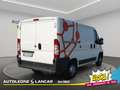 Fiat Ducato 35 CH1 2.0 mjt 115cv Bianco - thumbnail 7