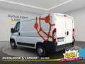 Fiat Ducato 35 CH1 2.0 mjt 115cv Bianco - thumbnail 5