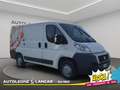 Fiat Ducato 35 CH1 2.0 mjt 115cv Bianco - thumbnail 1