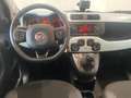 Fiat Panda Cross - LAUNCH EDITION Groen - thumbnail 8