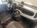 Fiat Panda Cross - LAUNCH EDITION Groen - thumbnail 2