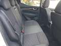 Nissan Qashqai Qashqai 1.5 dci Tekna 110cv - thumbnail 13