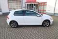 Volkswagen Golf R-Line 150PS TSI DSG - ACC/Navi/Pano/AID/1.Hd/8... Blanc - thumbnail 7